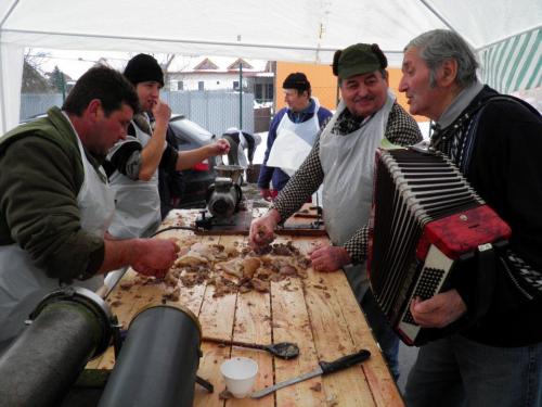 Fašiangové slávnosti 2012 / Farsangi ünnepély 2012