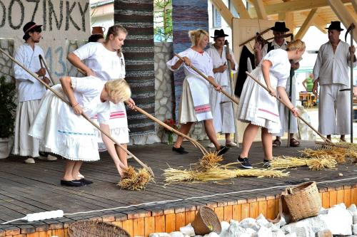 Dožinkové slávnosti 2013 / Aratási ünnepély 2013